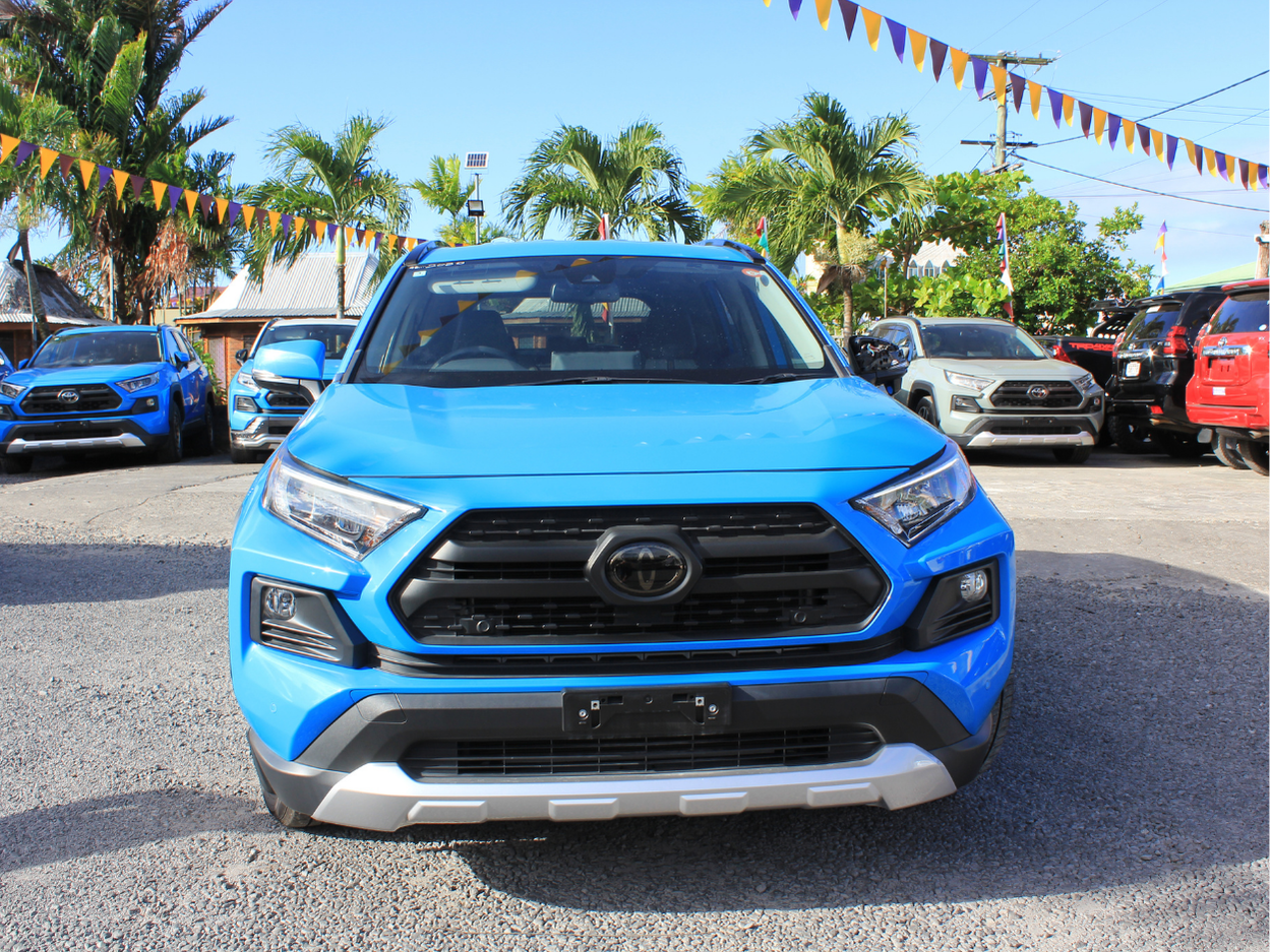 2020 Toyota Rav4 (Bue)