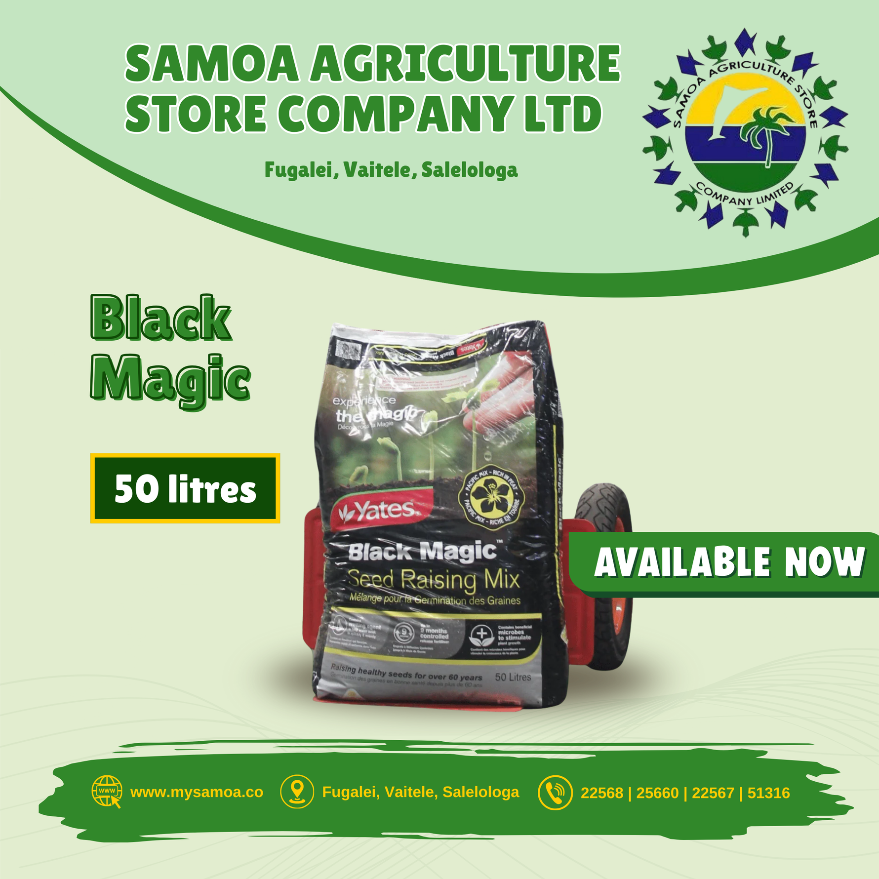 Black Magic Seed Raising Mix 50 litre