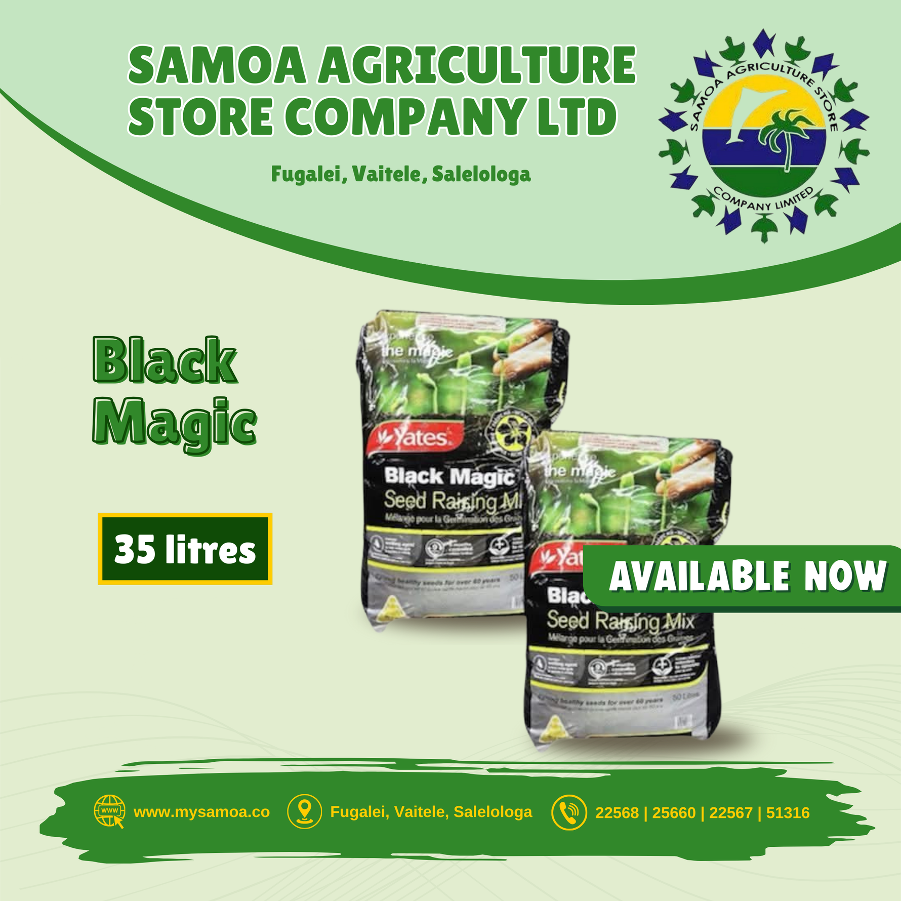 Black Magic Seed Raising Mix 35 litre