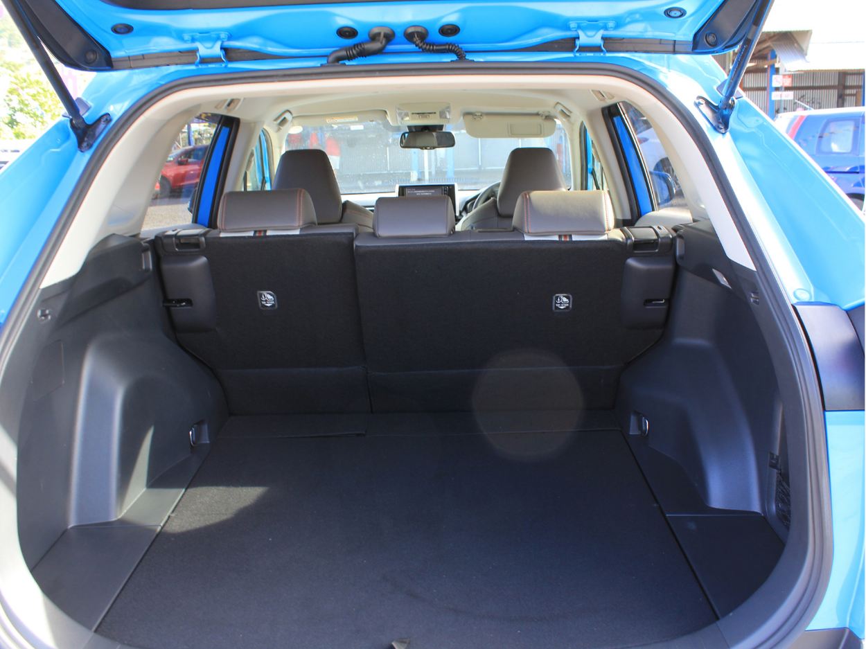 2020 Toyota Rav4 (Bue)