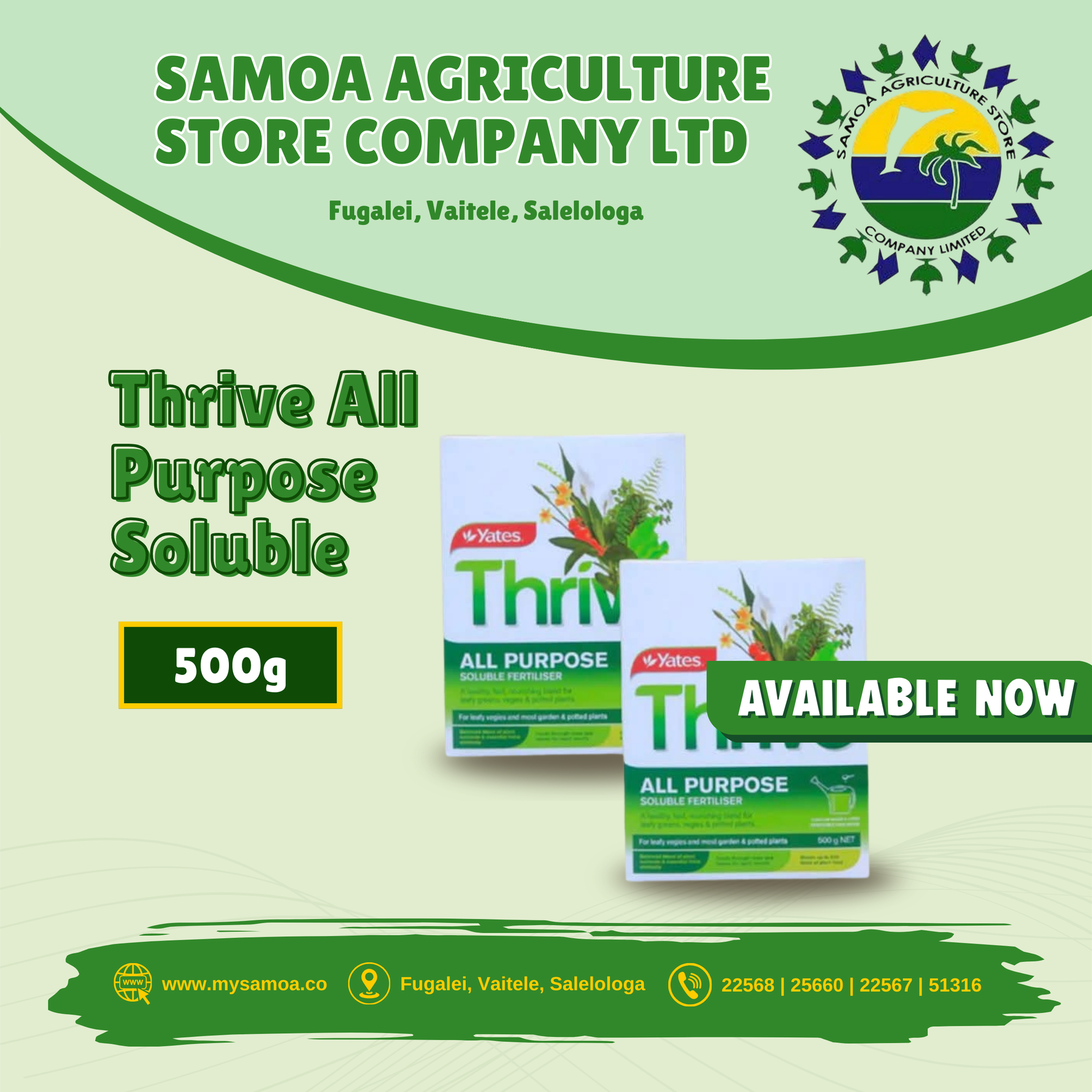 Thrive All Purpose Soluble 500 gm