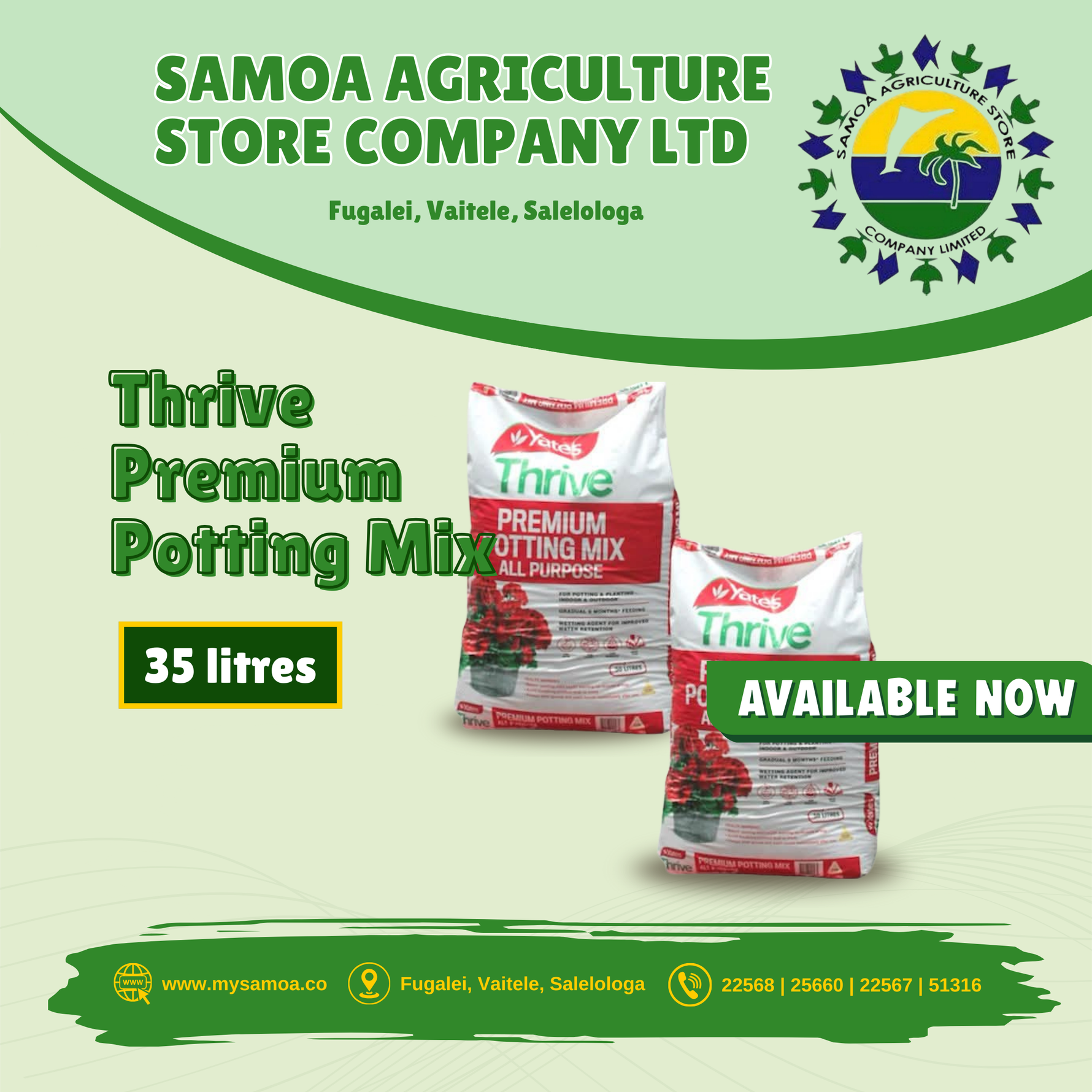 Thrive Premium Potting Mix 35 litre