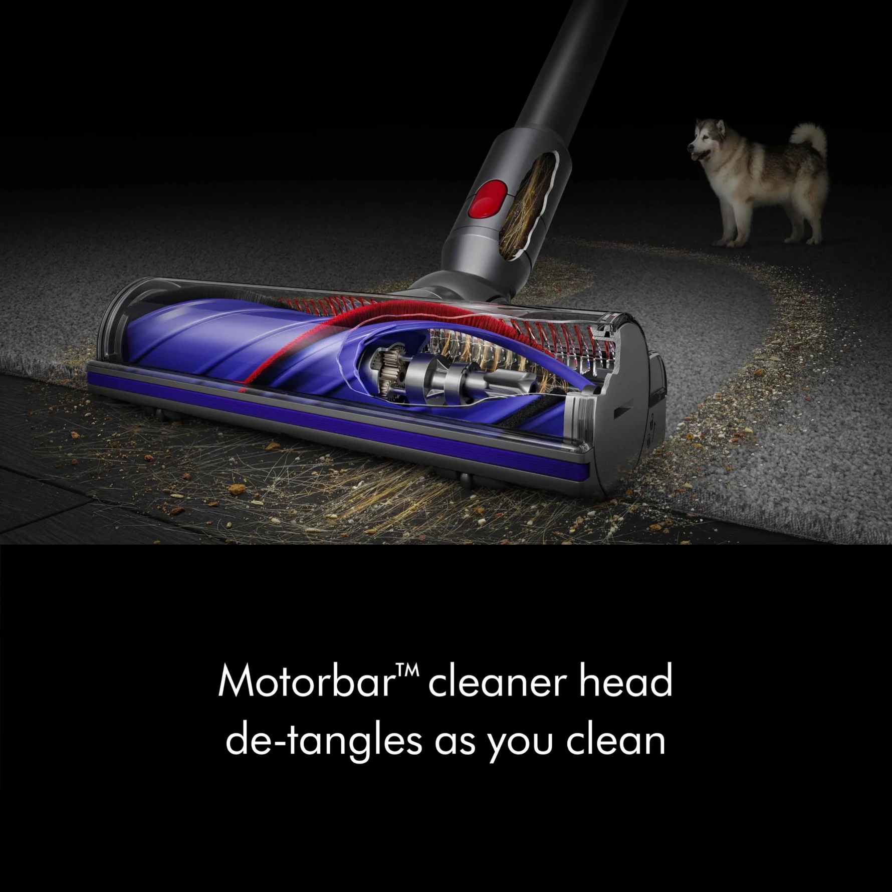 Dyson V8 Cordless Vacuum
